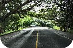 El Ambiente se salva con hechos, no con proclamas...